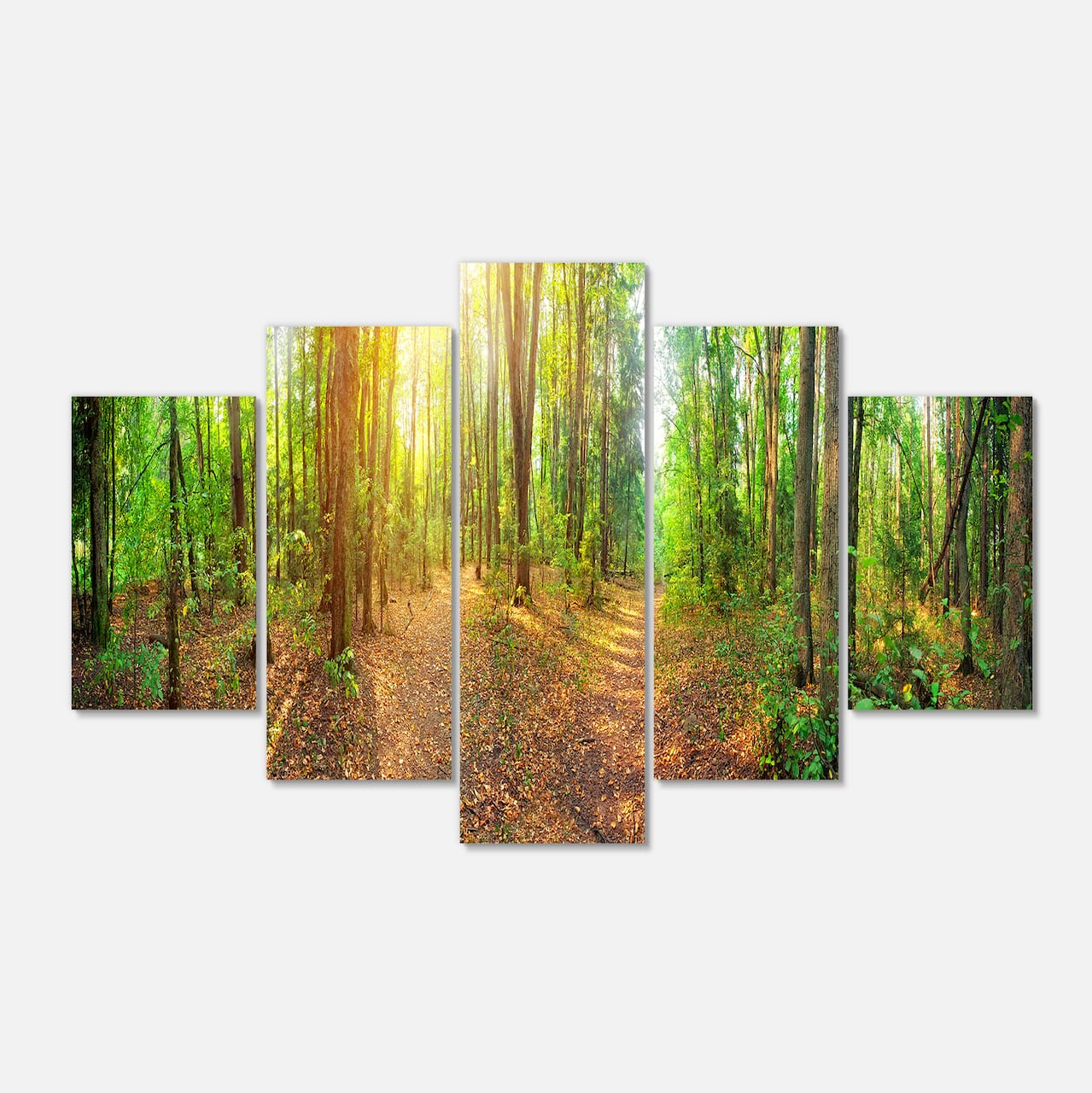 Designart - Dense Forest Panorama - Landscape Canvas Art Print